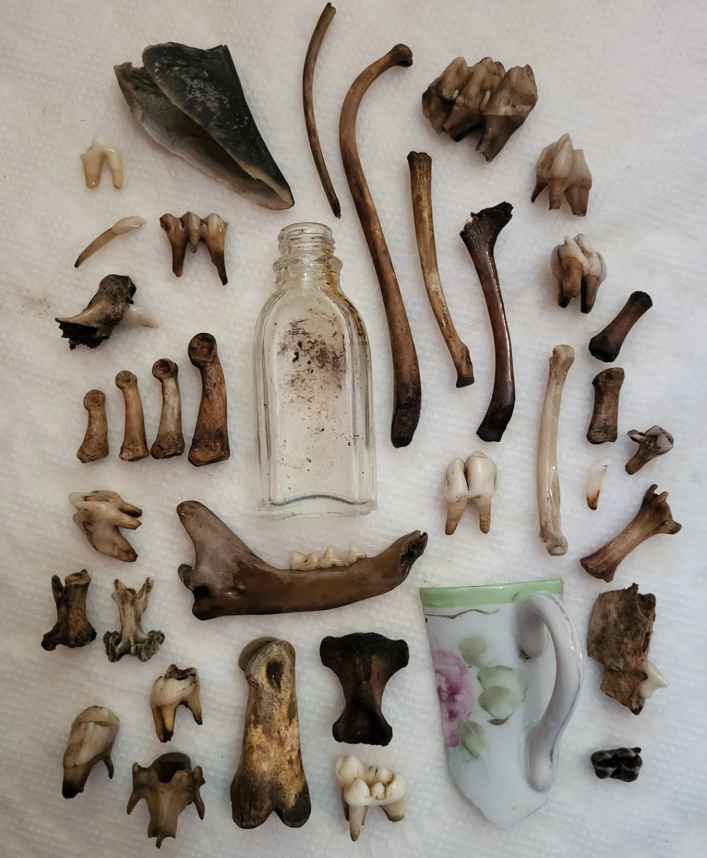 Oddity Mystery Box