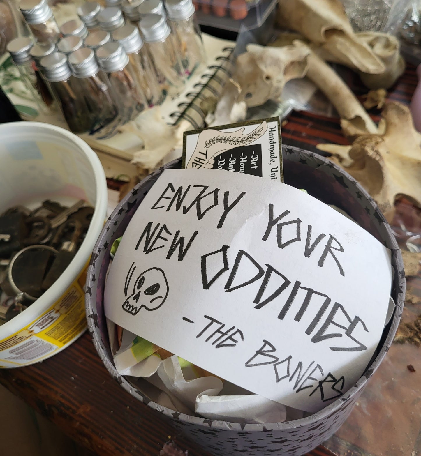Oddity Mystery Box