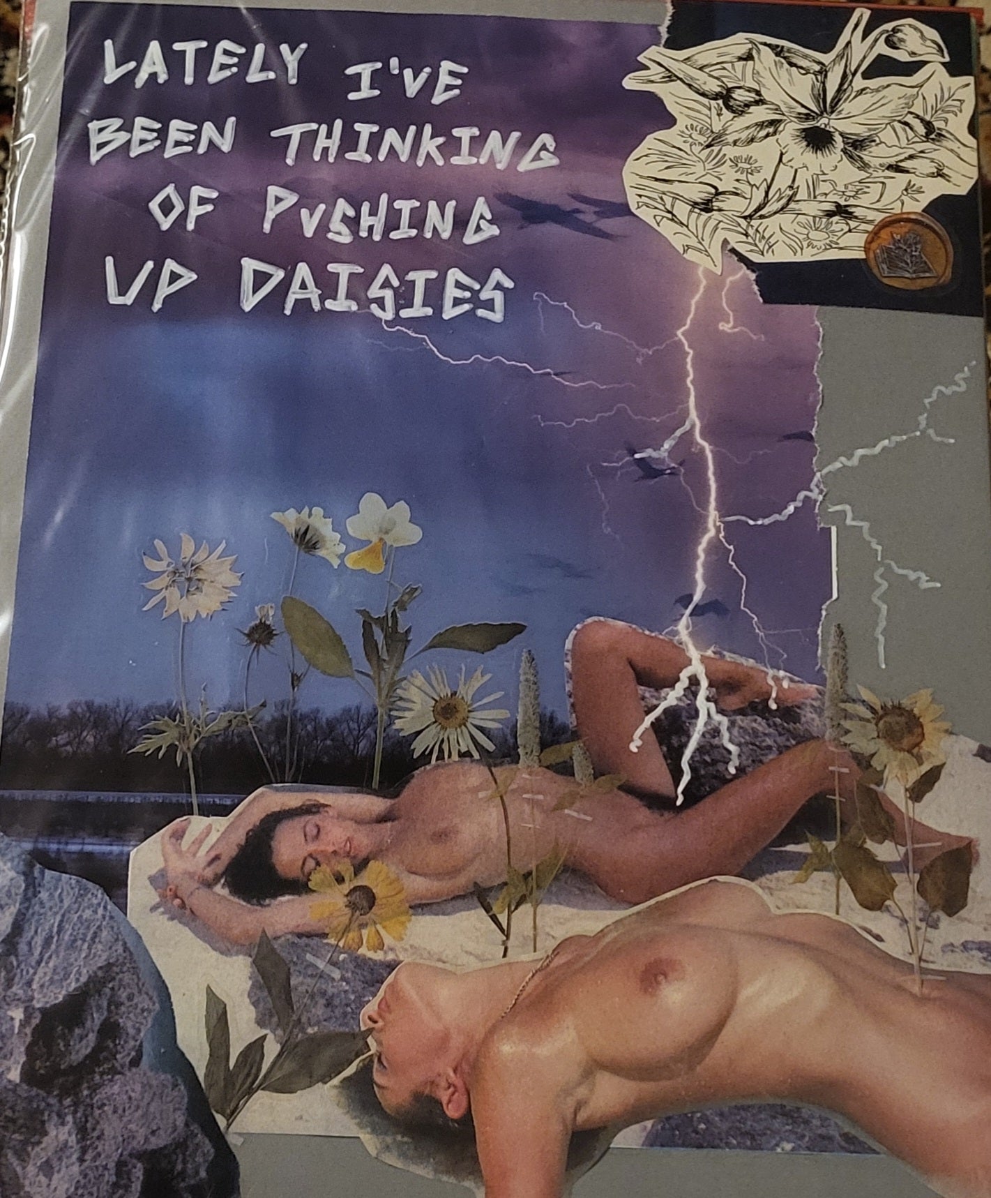 Pushing Up Dasies Collage